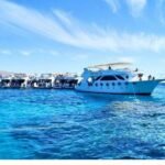 Transfer from the sharm