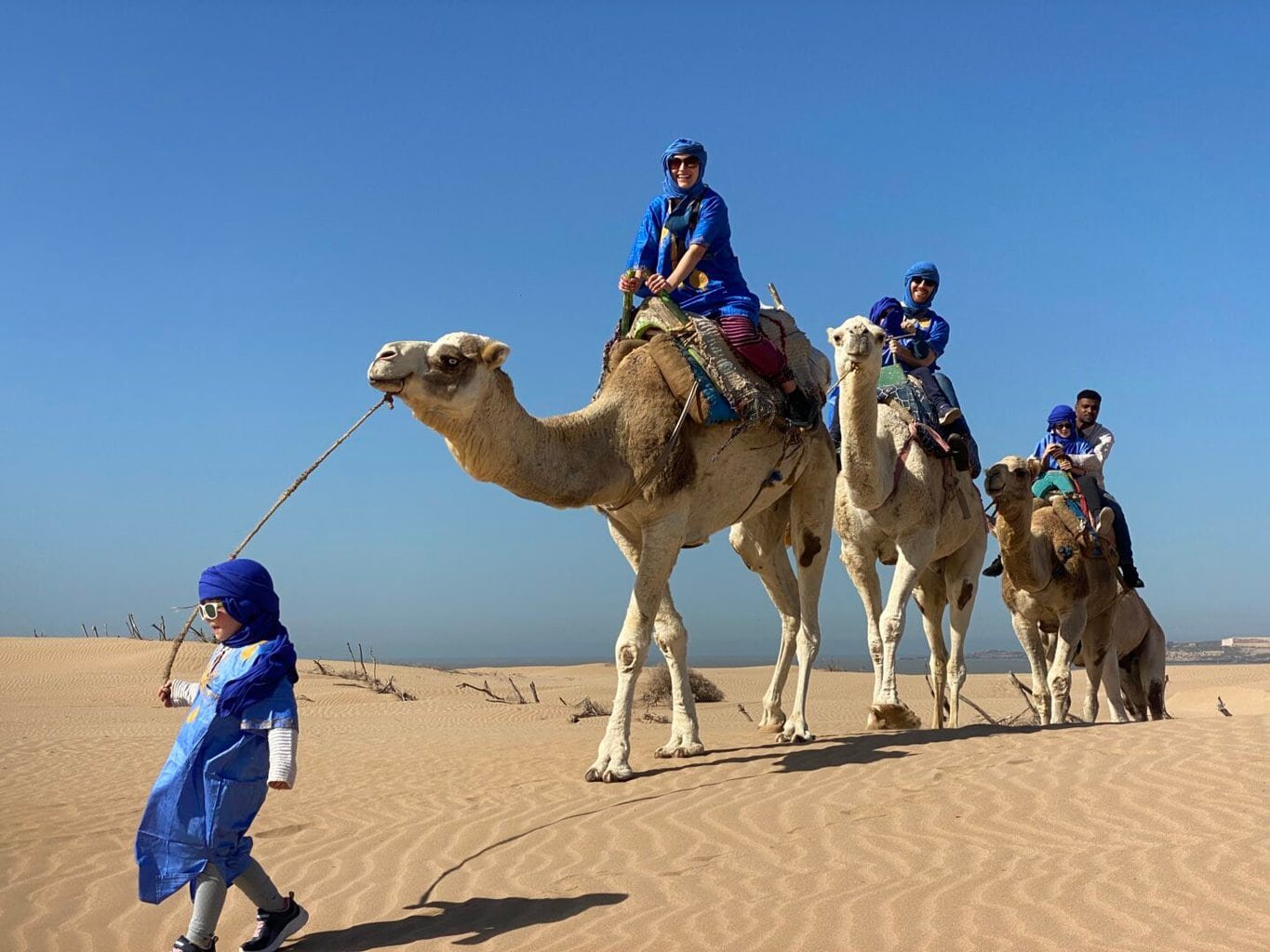 camel-2-1440x1080 Quad bike and camel riding - Image 1